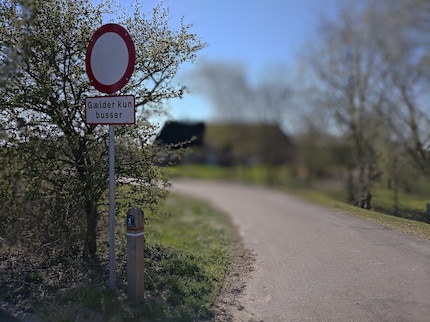Das feine Astwerk bereitet Probleme beim Bokeh-Effekt.