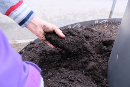 Den unteren Teil der Schnecke reichern wir zusätzlich mit Humus an.