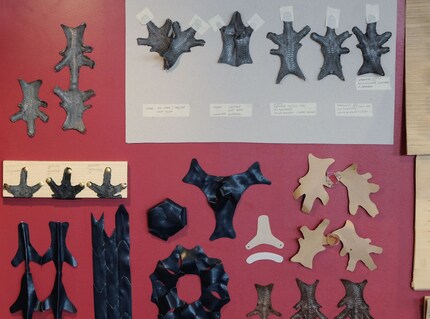 «Chicken Leather Samples» di Meret Wacker e Géraldine Heller.