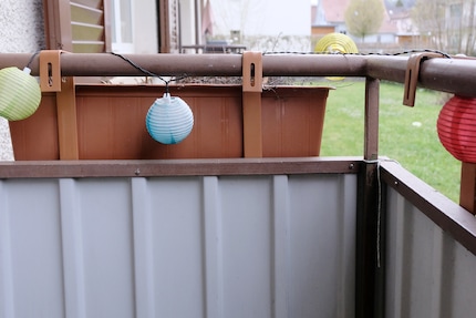 La friche éternelle : le coin gauche de mon balcon.