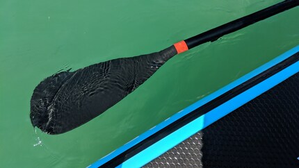 Wichtig: Das Paddel besteht den Schwimmtest.