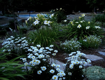 So in etwa könnte dein Mondgarten aussehen. Bild: garden.org