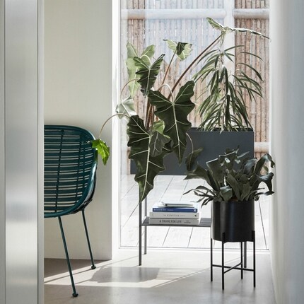 ...sotto l’annaffiatoio o i libri. Immagine: Hübsch