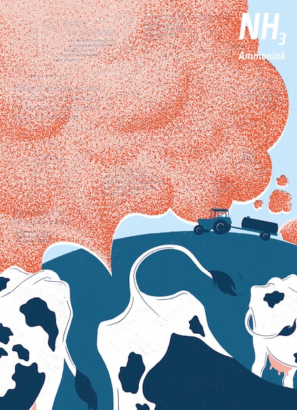Eine Illustration vom Schadstoff Amoniak. Bild: Gioia Loretz