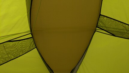 Na? Do you see the whale?