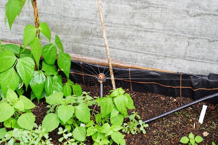 Going with the flow! The 6-face spray nozzle sprinkles almost the entire bed.