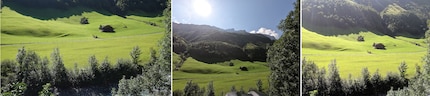 F.l. Sony, GoPro, Pixel. DJI is missing because the colleague initially called «Take Picture» instead of «Take Photo».