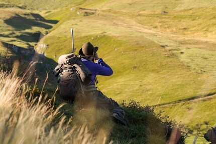 I know what you did last fall.