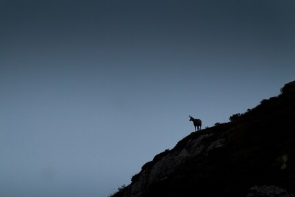 It seemed to say: «there's nothing for you here».