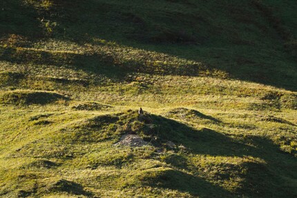 Von blossem Auge nur knapp zu erkennen.