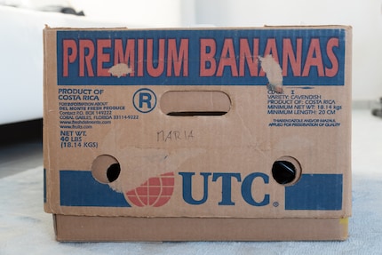 Die Bananenschachtel des Grauens. Nichts von dem, was drauf steht, ist wahr.