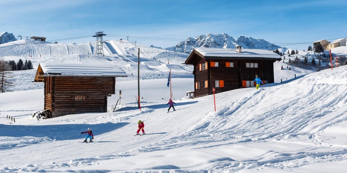 Copyright e-domizil AG/Chalet Wilhelmina (Objet n° 793971)