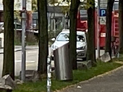 Vergrösserter Bildausschnitt vom 5-fachen digitalen Zoom