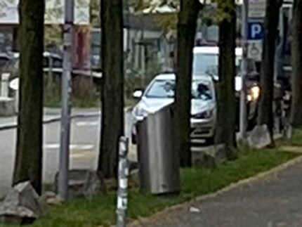 Doppelt vergrösserter Bildausschnitt