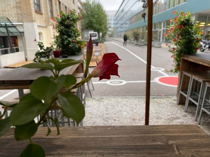 Unnatürlich wirkt gar nichts an diesem Bild.