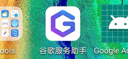 L’app cinese con la G viola