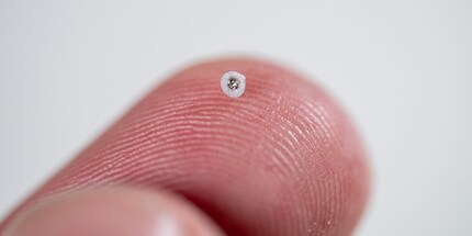 Die Y000-Schrauben sind die am meisten verbreiteten im iPhone.