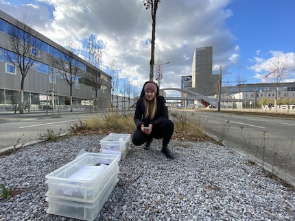 En ce moment, la rue est vide, mais ce n'est pas à cause de nous.