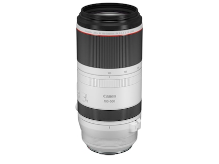 Das kommende 100-500mm-Objektiv