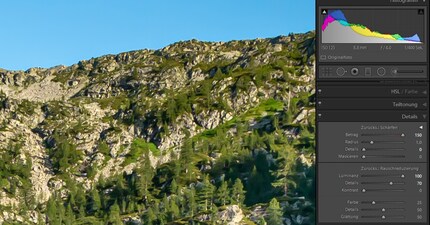 Übertriebene Rauschentfernung bringt gemäldeartige Nebeneffekte.