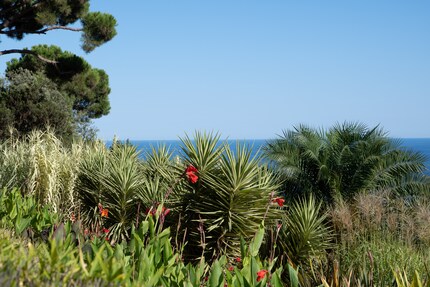 Mit voller Auflösung hochgeladen
