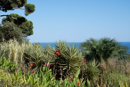 Vor dem Upload heruntergerechnet und geschärft