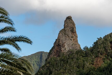 85mm, 1/1000 sec, 100 ISO, F5.6