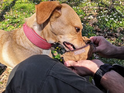 At last, the reward.