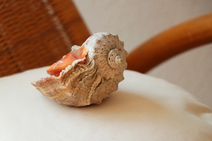 Anche se quando medito tengo gli occhi chiusi, mi piace circondarmi di oggetti che hanno un significato.