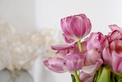 Motive lassen sich auch mit einem Auge für das Beiläufige finden.