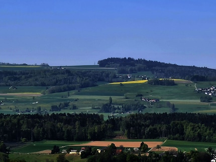 Zoom: 10x, aufgenommen mit dem Samsung Galaxy S20 Ultra, manuell mit Photoshop bearbeitet