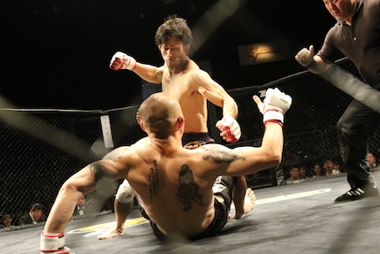Ece Temelkuran vergleicht die Politik mit einem Cage Fight.