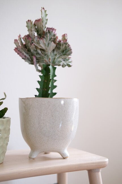 Despite their legs, these flower pots won't run away from you.