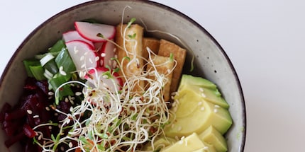 Die geernteten Alfaalfa-Sprossen landen gleich auf meiner Poke Bowl.