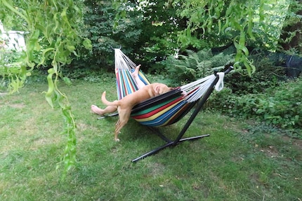 Dimanche, midi à Bâle.