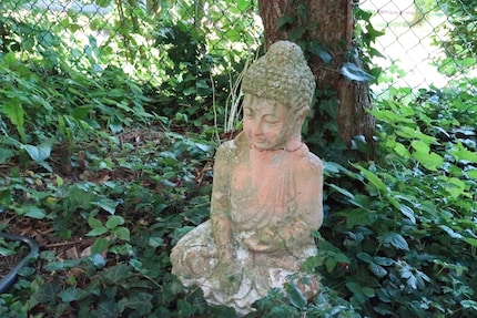 L'image qui en dit plus que mille mots. Oui, c'est Bouddha, pas Confucius.