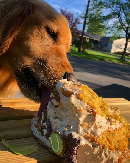 Finley geniesst seinen Erfolg.