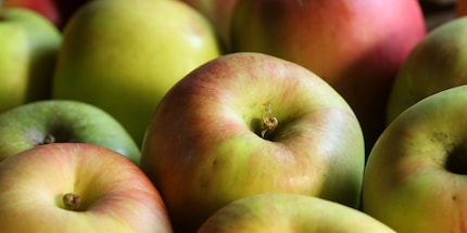 Les pommes détériorent plus rapidement d'autres fruits et légumes à proximité à cause de l'éthylène qu'elles dégagent. Source : Fuchs Gewürze