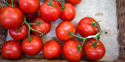 Les tomates se conservent mieux si vous les mettez dans un endroit à l'abri de la lumière et à température ambiante. Source : T-Online