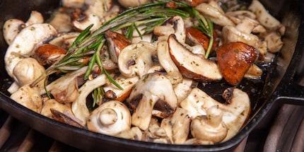Vous pouvez réchauffer les champignons sans problème, mais n'attendez pas trop avant de les consommer. Source : Grillfürst
