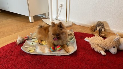 Die Matte macht sich auch als Kuschel- und Spieldecke gut.