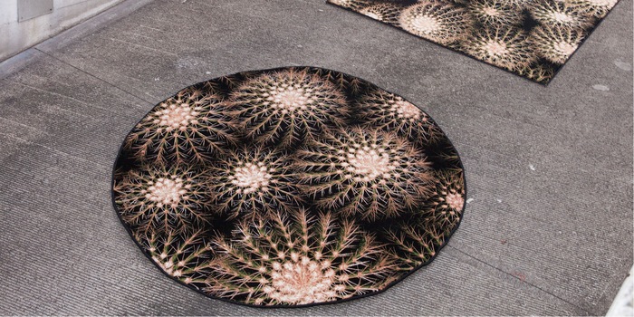 Photo : Schönstaub Photo : Schönstaub