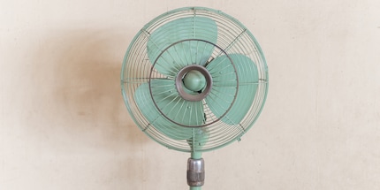 I ventilatori portano una boccata d'aria fresca ma raggiungono il loro limite quando fa davvero troppo caldo.