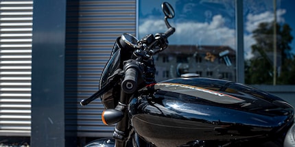 L’Harley è patetica senza uno specchietto. Povera cucciola.