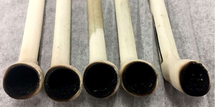 Bild: Washington State University