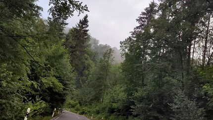 Same frame, but with colour correction.