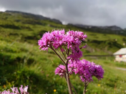 It was a sunny day, actually.