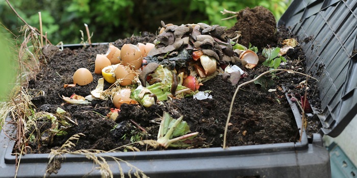 Peut-on composter tous les déchets de cuisine et de jardin ?