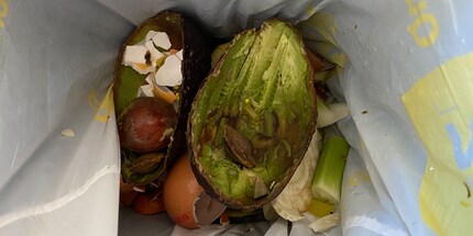 Quels déchets peut-on ou ne peut-on pas composter ?