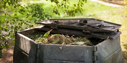 Le tas de compost dans le jardin représente une source d'engrais durable.